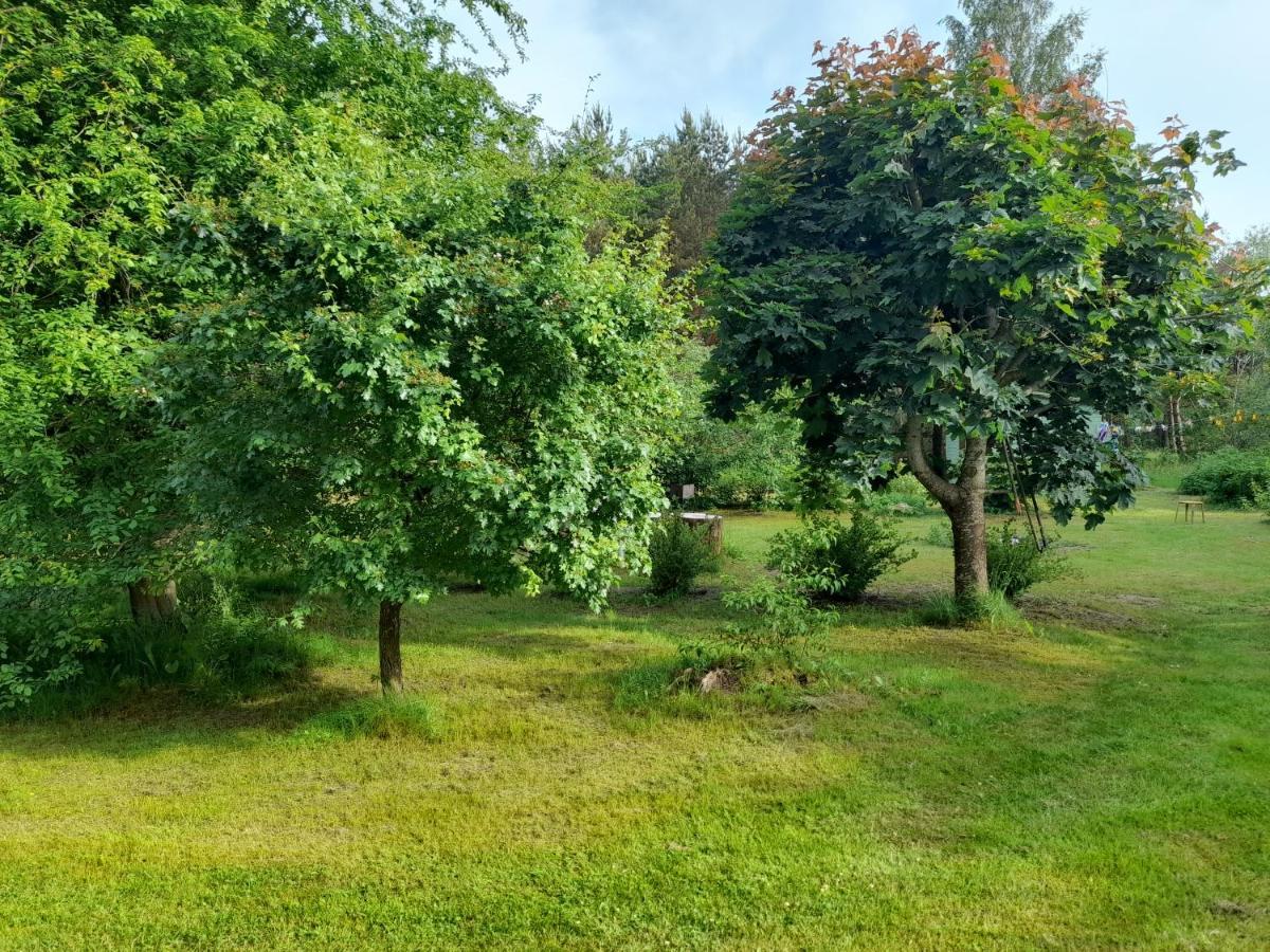 Quiet Summer Apartment Aucugals Bagian luar foto